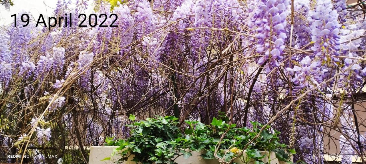 Garden House - Luxury - Self Check-in Only Gasthof Rom